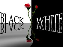 Black and White von Martina Fornal