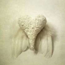 Angel Wings by Priska Wettstein