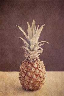 Mittige Ananas by Priska Wettstein