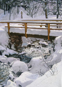 Die Brücke im Schnee by Gräfin Vroni von Burgstein