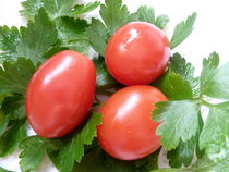 Datteltomaten- Solanum sect. Lycopersicon by regenbogenfloh