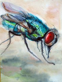 Insekt by philomena