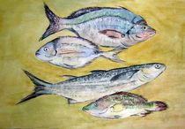 Fische frisch vom Kutter by philomena