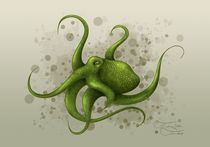 Octopus  by Franziska Franke