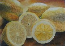 Zitronen von Barbara Stolzenhain