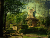 Die alte Mühle von Mathias May