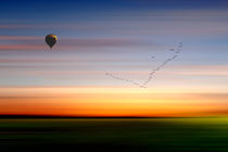 Flying with the birds by Mathias May