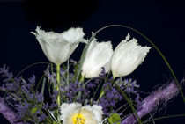 White Tulips von Iryna Mathes