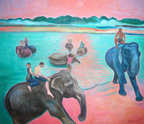 Baden mit den Elefanten in Chitwan by ashankit
