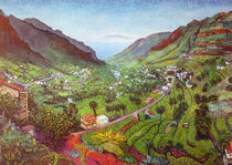 Valle Gran Rey by ashankit