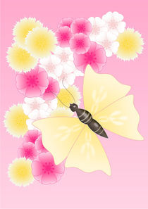 Schmetterling auf Blüten von deboracilli