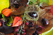 Herbstimpressionen by Kirsten Hagedorn
