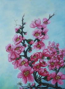 Kirschblüten von G.Elisabeth Willner