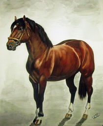 braunes Pferd by Ursula Thuleweit Laranjeiro
