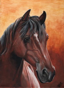 Pferdekopf von Ursula Thuleweit Laranjeiro