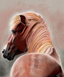 Pony von Ursula Thuleweit Laranjeiro