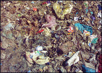 Zermanschter Müll by opaho