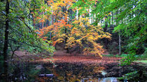 Herbstliche Doline im Thüringer Wald by opaho