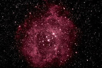 Rosettennebel NGC 2237 von monarch