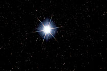 Stern Sirius - Star Sirius  by monarch