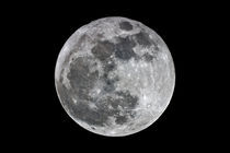 Vollmond - Full Moon von monarch