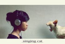 singing cat by paulchensmom