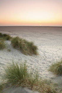 Sonnenuntergang auf Texel von Dominik Brenne