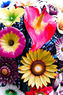 Bunte Blumen von Angelika Bentin