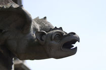 Gargoyle in Ulm by safaribears