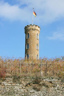 Turm im Weinberg  von hadot