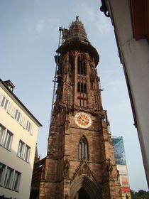 Freiburger Münster von chris65