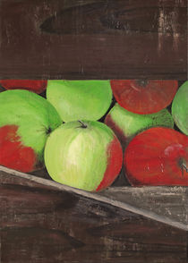 Apfelernte von Barbara Vapenik