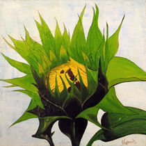 Sunflower by Barbara Vapenik
