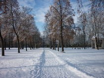 Winter in Landshut von Eva Hedbabny