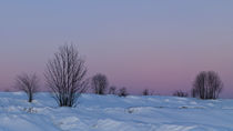 Winterfarben by waidlafoto
