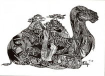 Kamel konsterniert von Viktoria Anne Scheliga