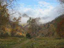 Herbst im Elsaß von Marie Schmetz