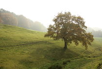 Baum im Nebel von Magda Fischer