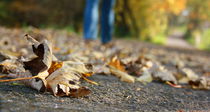 Spaziergang im Herbst von Magda Fischer