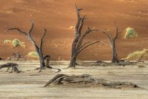 Die toten Bäume in der Namib by Jürgen Klust