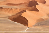 Die Dünen der Namib von Jürgen Klust