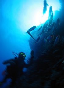 Unterwasserimpressionen by tonykaplan