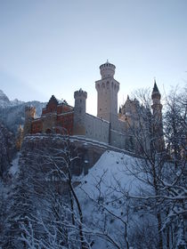 Schloss Neuschwanstein im Winter by mytown