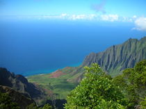 Pure Natur - Hawaii by mytown