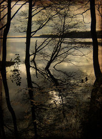 Autumn reflections von Evita Knospina