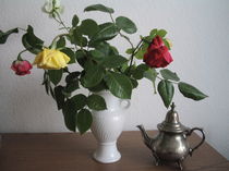 Rosen von Marion Akkoyun