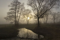 Morgendliche Spiegelungen im Nebel von Andreas Kaczmarek