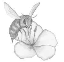 Die fleißige Biene by Sophia Dreier