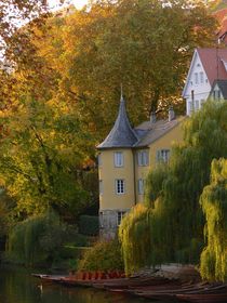 Tübingen, Hölderlinturm im Herbst von wolfpeter