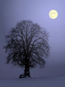 Mondnacht von wolfpeter
